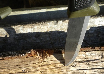 Couteau Mora Clipper