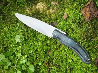 Bart-PHM-Pimontais G10-6