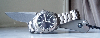 Omega Seamaster Titane et Sebenza