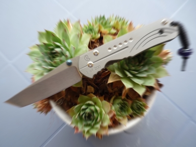 Couteau Chris Reeve Sebenza NICA  Tanto