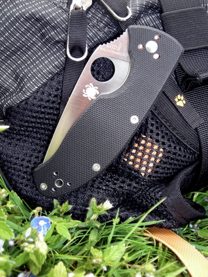 Spyderco Tenacious