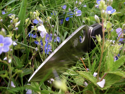 Spyderco Tenacious