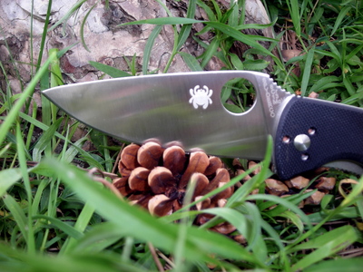 Spyderco Tenacious