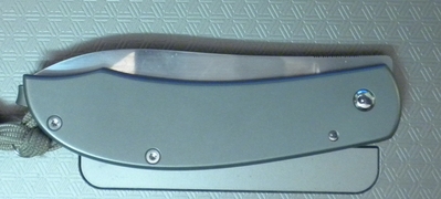 David Lespect Frameless