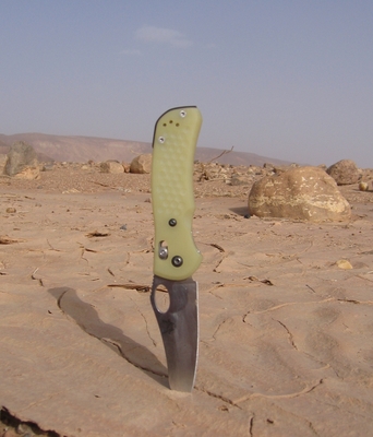 Couteau Benchmade Griptilian Wilkins Grip