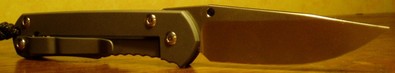 Sebenza de Chrise Reeve ct face