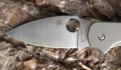Spyderhole